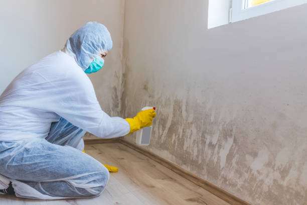 Bathroom Mold Removal assessment in Saint Cloud bathroom