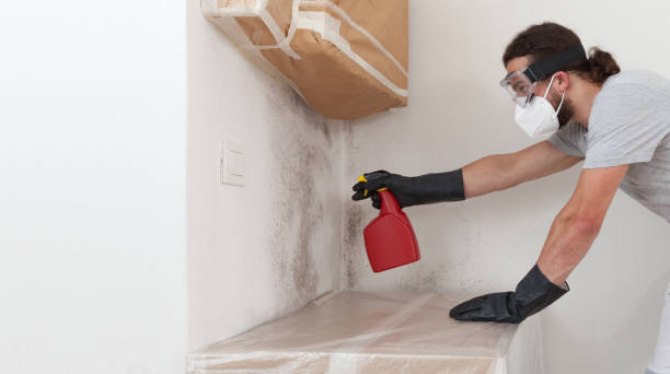 Attic Mold Remediation treatment on roof deck in Saint Cloud